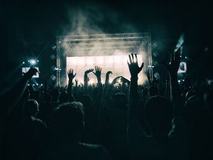 crowd in concert